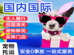 丽江航空运输国际宠物托运 【国